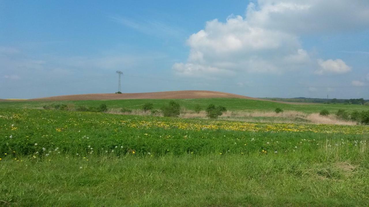 Ferienwohnung Wroblewsky Klein Ziethen Exteriör bild