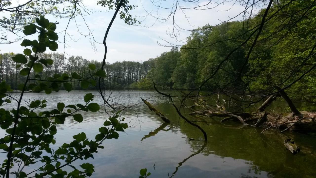 Ferienwohnung Wroblewsky Klein Ziethen Exteriör bild