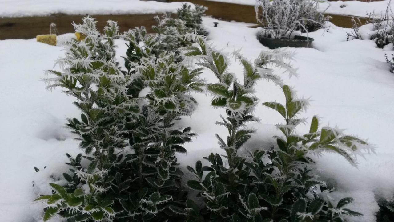 Ferienwohnung Wroblewsky Klein Ziethen Exteriör bild